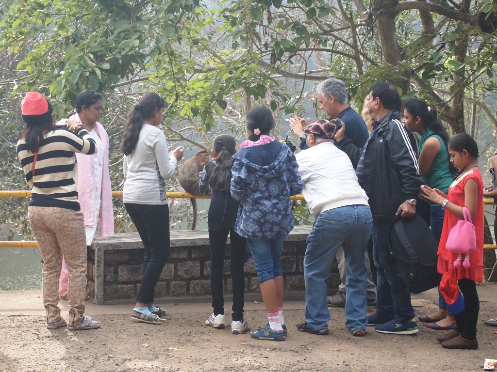 クミリー　ペリヤー　鳥獣保護区　猿を撮る人間