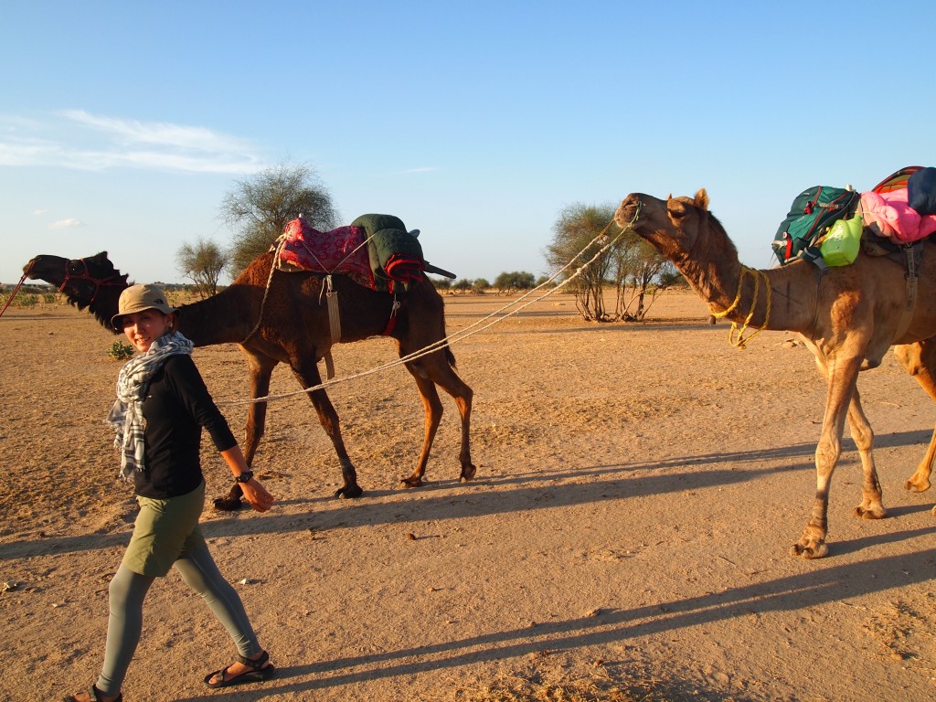 インド クーリー 700円 キャメルサファリ 砂漠 体験 ジャイサルメール 世界一周 旅 ブログ
