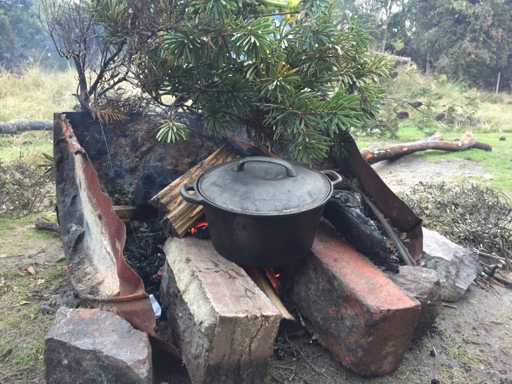 タスマニア キャンプ 野営 テント オーストラリア 世界一周 自然 旅 ブログ