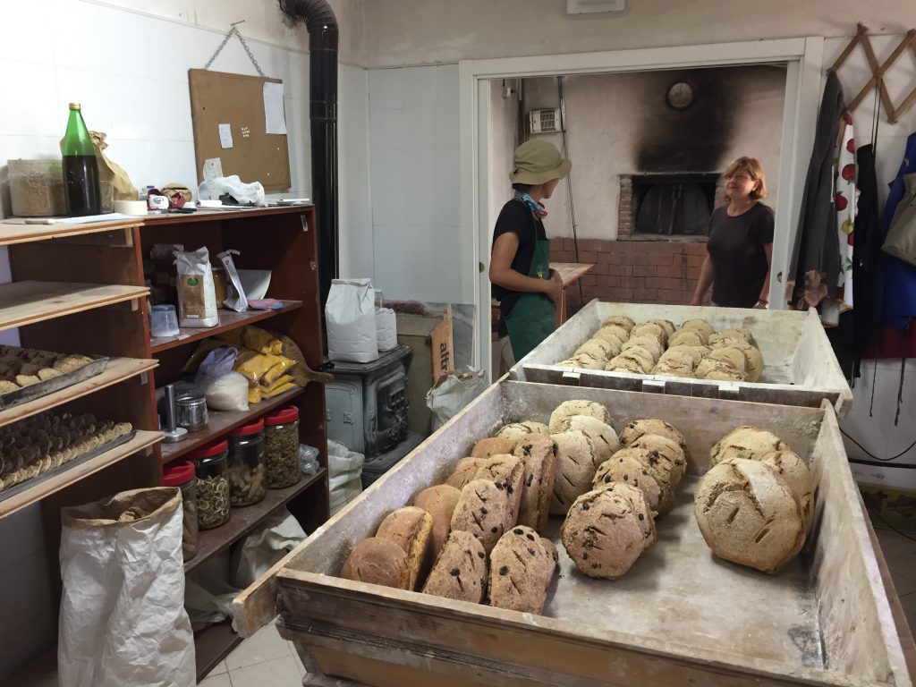 オーガニック　ファーム　パン　イタリア　ナポリ　農業　パン