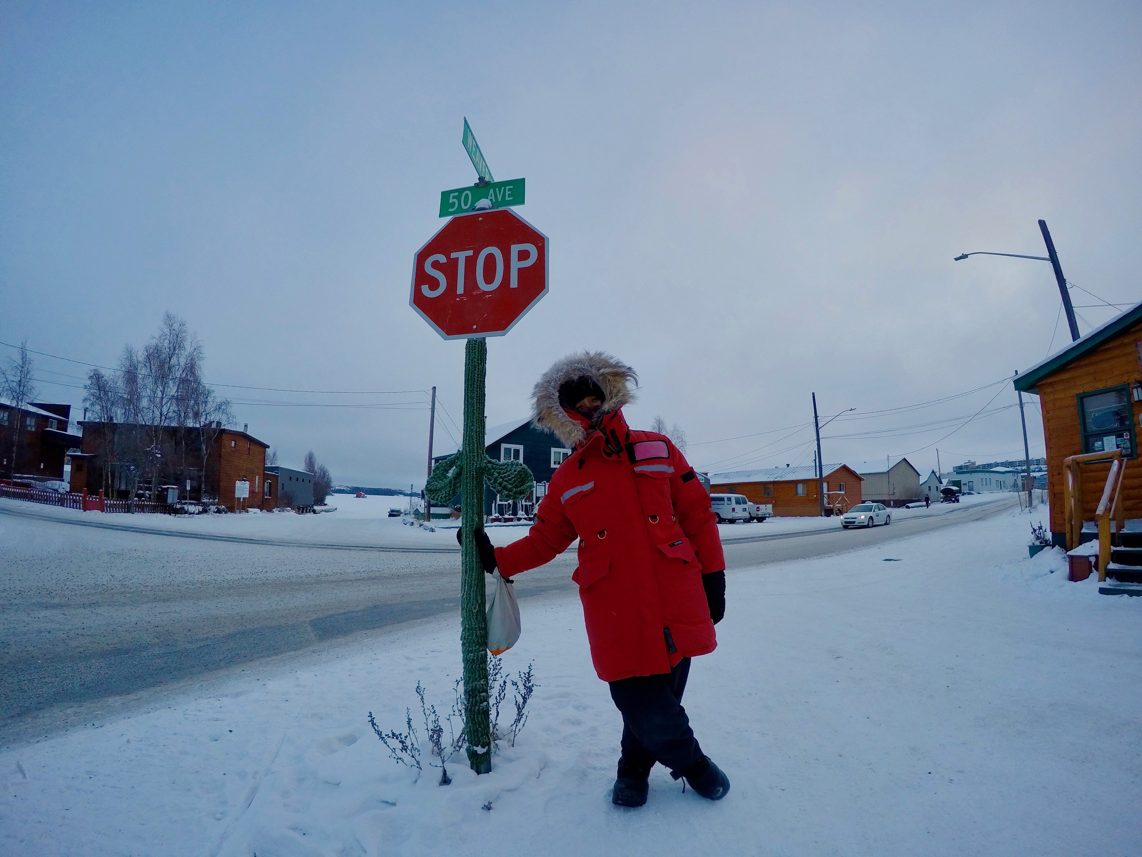 イエローナイフ　世界一周　カナダ　オーロラ　以外　雪　極寒　観光