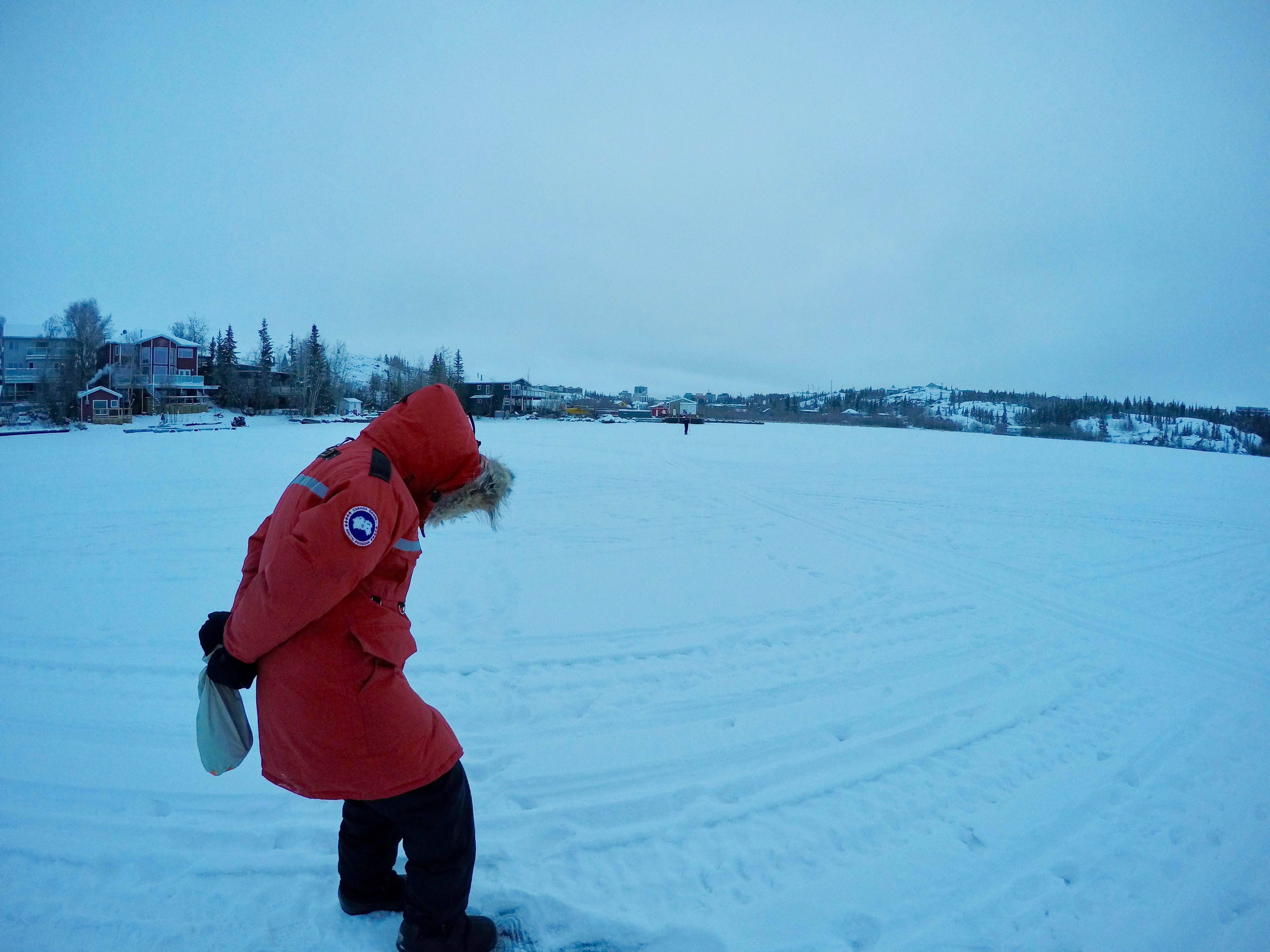イエローナイフ　世界一周　カナダ　オーロラ　以外　雪　極寒　観光　物価